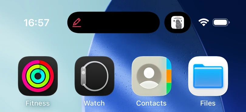 The top of an iPhone Home Screen, with the Dynamic Island collapsed into a pill showing Excerpt's red highlighter.